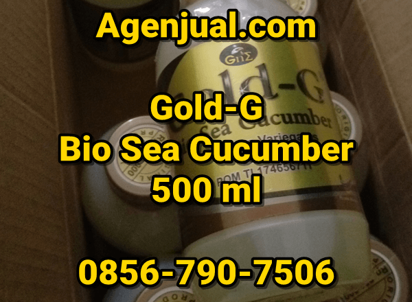 Agen Gold-G Bio Sea Cucumber | 0856-790-7506